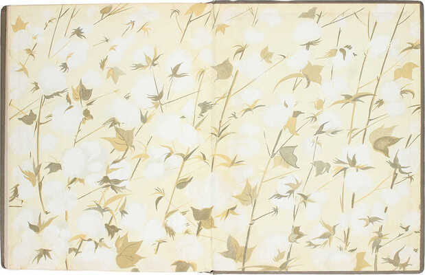 Хлопководство. [Фотоальбом] / Сост. Н.В. Калугин. М.: ОГИЗ «Сельхозгиз», 1940.